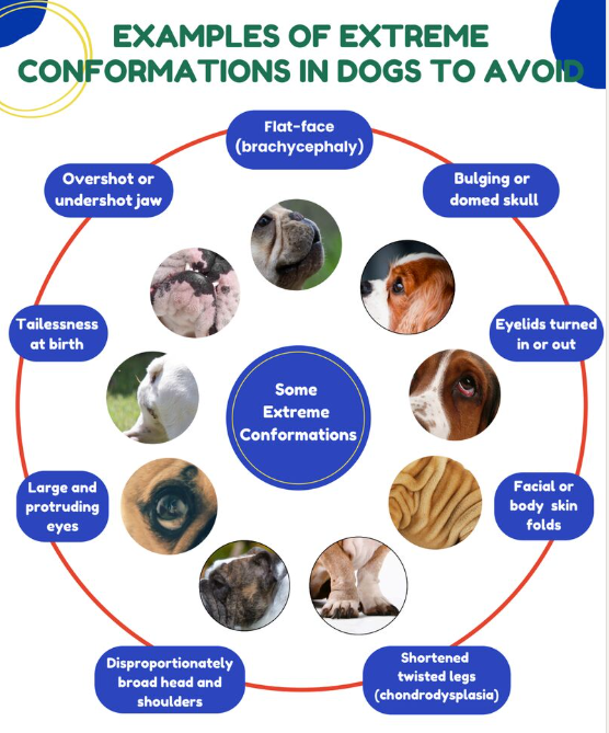 Diagram of extreme dog features. 