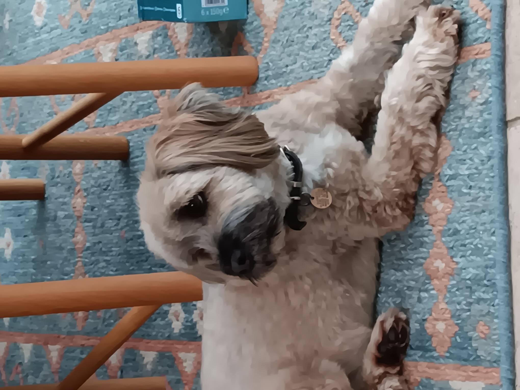 Digby