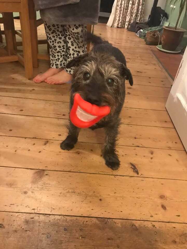Buster